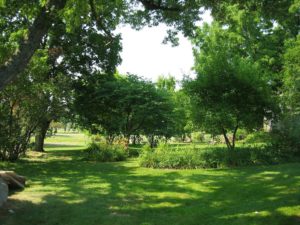 Family Reunions in the Finger Lakes NY 5