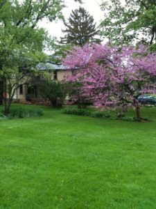 Spring colors at a Finger Lakes Bed and Breakfast 17