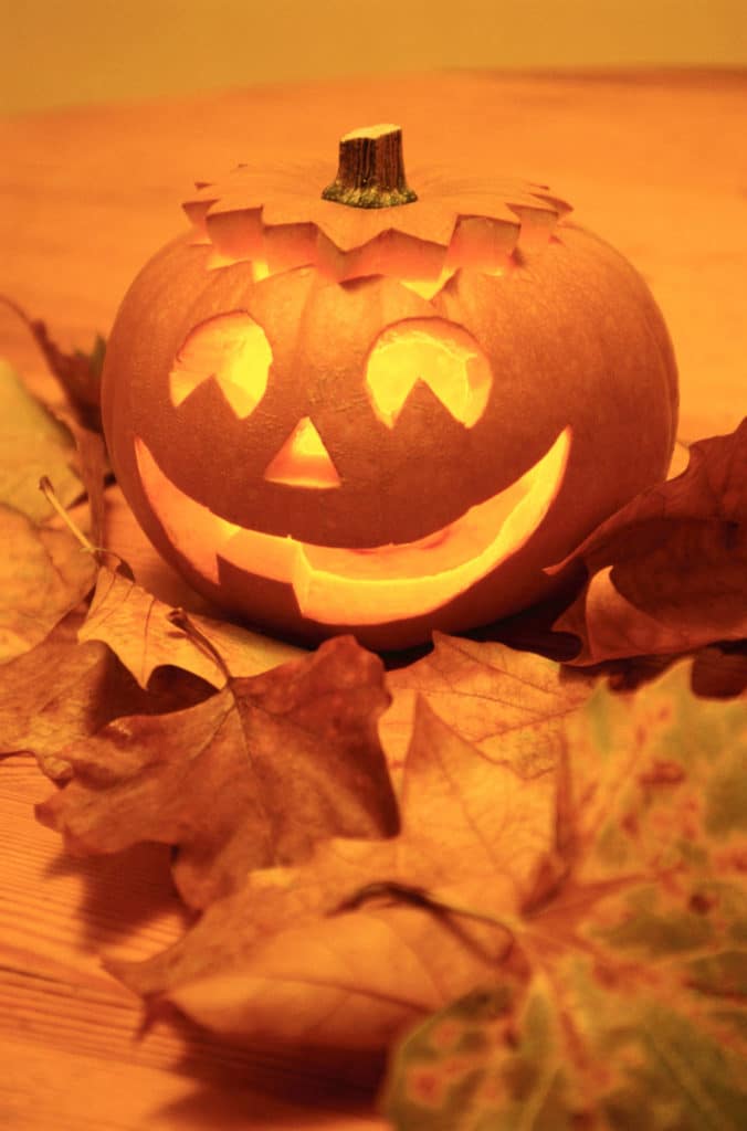 Halloween 2013 Thrills and Chills in the Finger Lakes 1