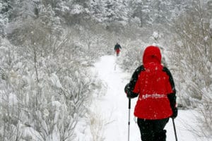 Red Jacket Snowshoe - Dreamstime