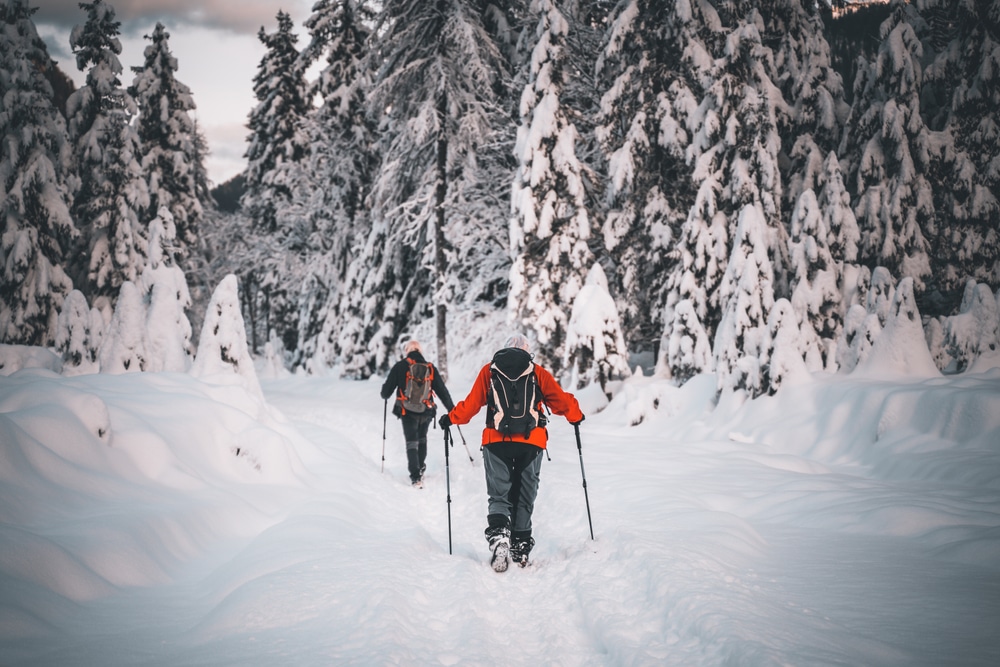 snowshoeing in the Finger Lakes National Forest 