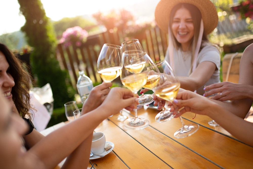 Finger lakes wine tours 