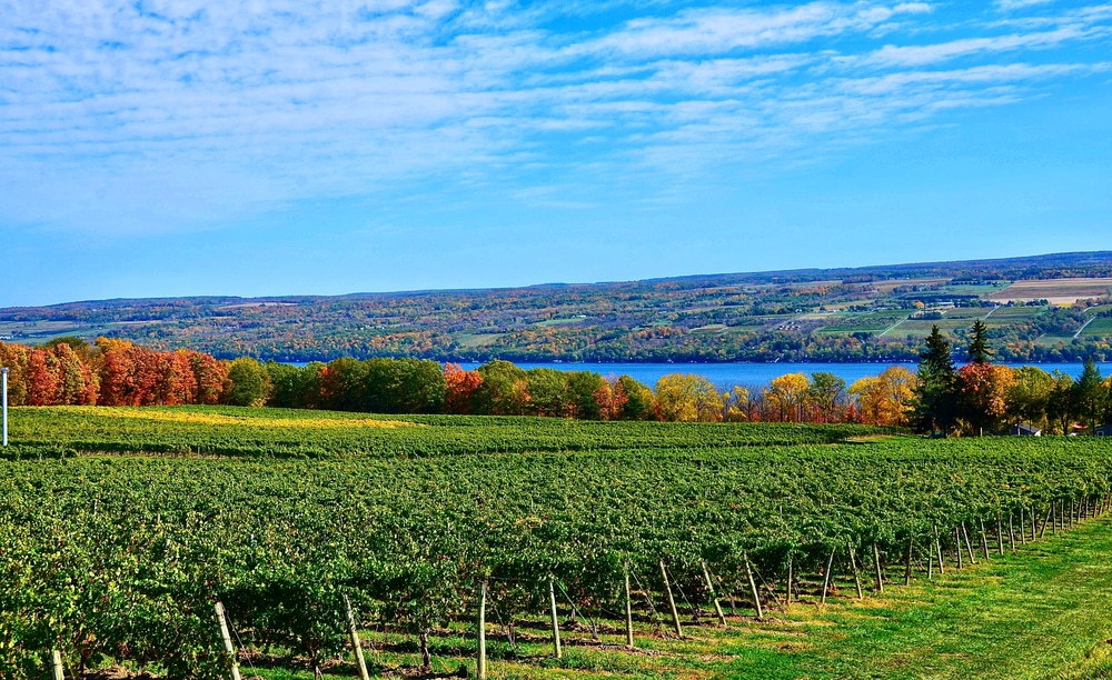 Finger Lakes wineries