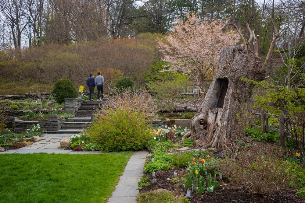 Cornell Botanic Gardens