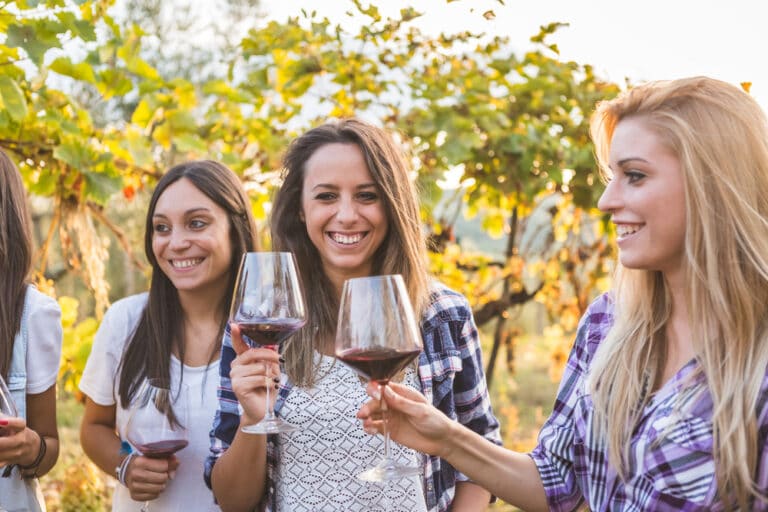 Our Blog 89 Seneca Lake Wine Trail
