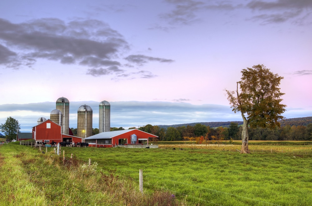 Finger Lakes Cheese Trail 