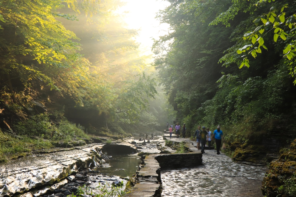 Watkins Glen State Park