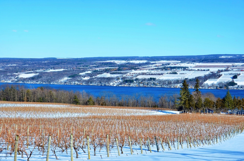 Finger Lakes Wineries, pretty vineyard in the winter with snow on the ground and the lake in the background 