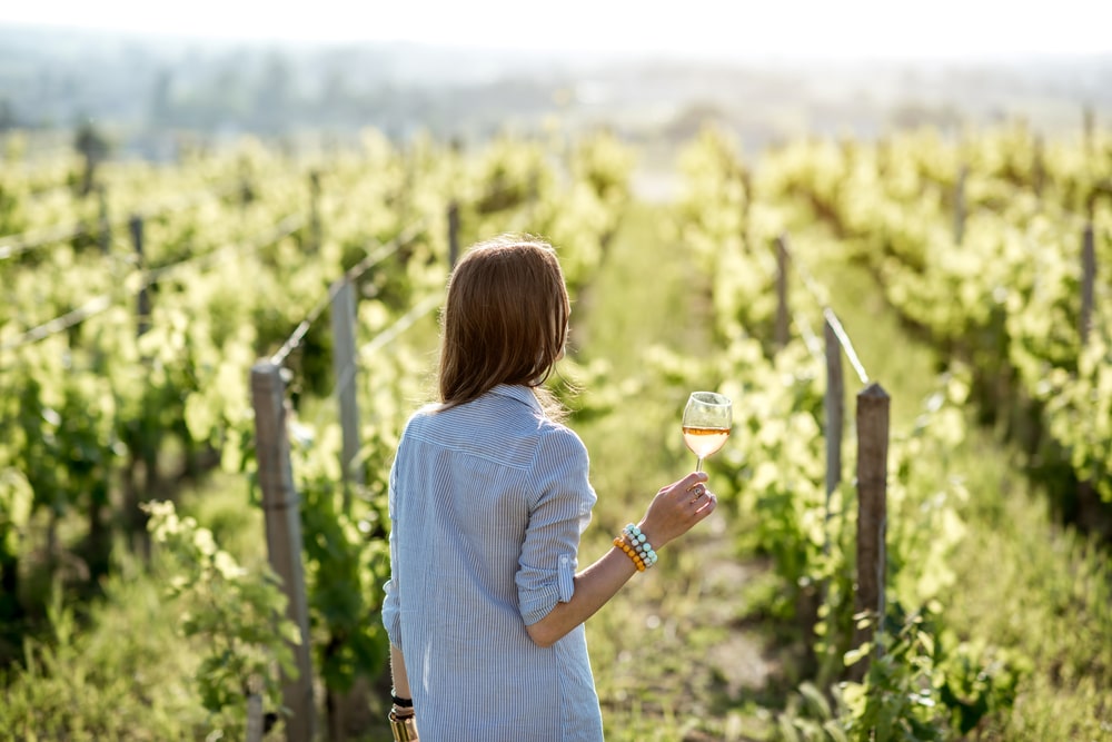 Wineries on Seneca Lake, photo of a woman looking out on a Finger lakes winery with a glass of rose