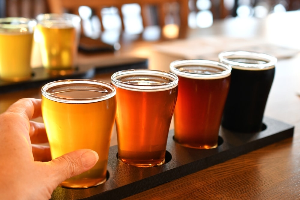 beer tasting at one of the Finger Lakes Breweries near Ithaca