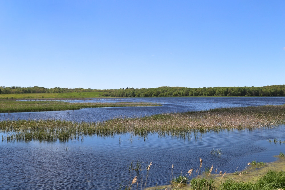 Best Places for Finger Lakes Kayaking