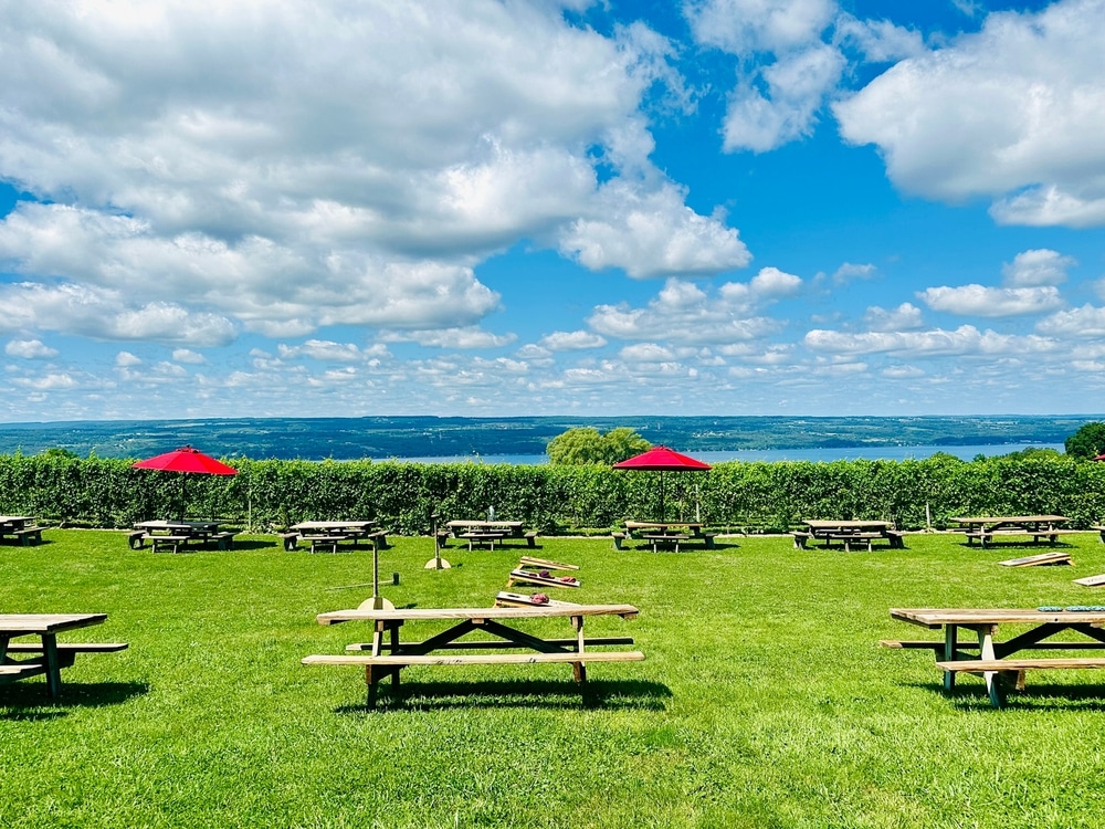 Finger Lakes Distilling and more fun things to do on Seneca Lake