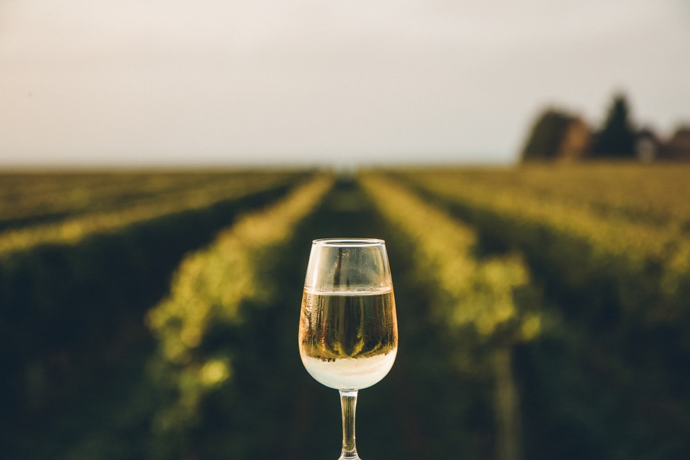 what is ice wine? learn more about the best ice wines in the finger lakes