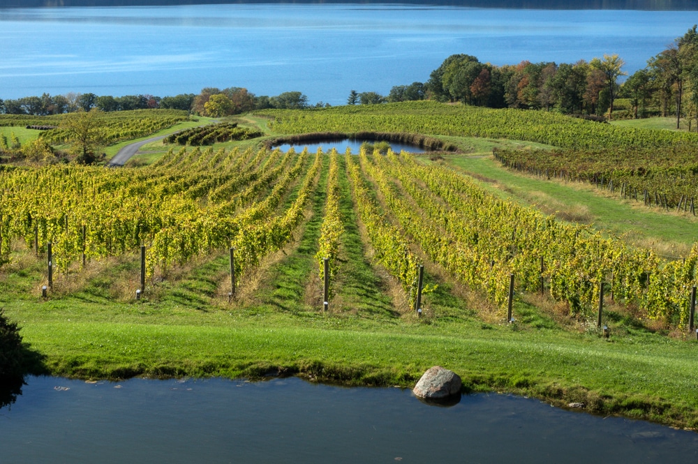 Don't Miss These Cayuga Lake Wineries in the Finger Lakes