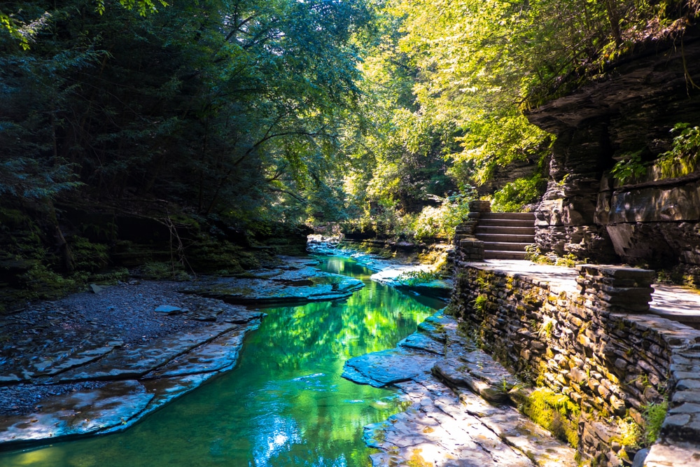 Things to do in Watkins Glen near our Finger Lakes Bed and Breakfast