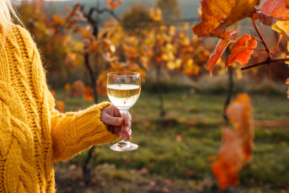 Best Places to Stay in the Finger Lakes