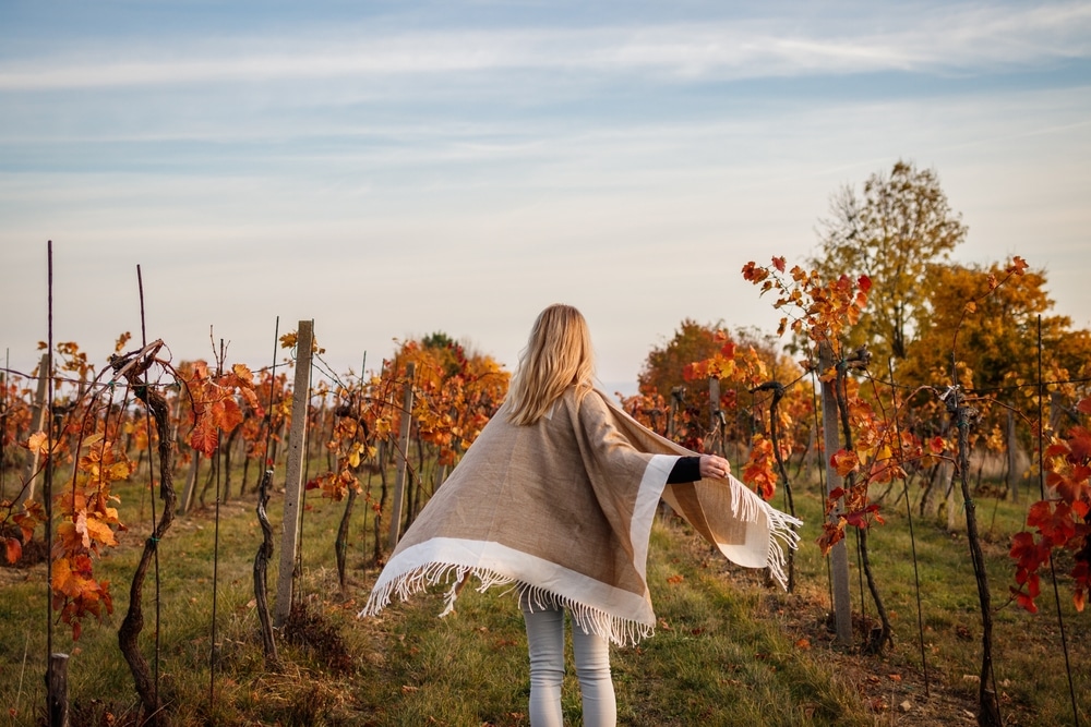 Fall Harvest at Seneca Lake Wineries & More 5 Seneca Lake Wineries for fall harvest in the Finger Lakes