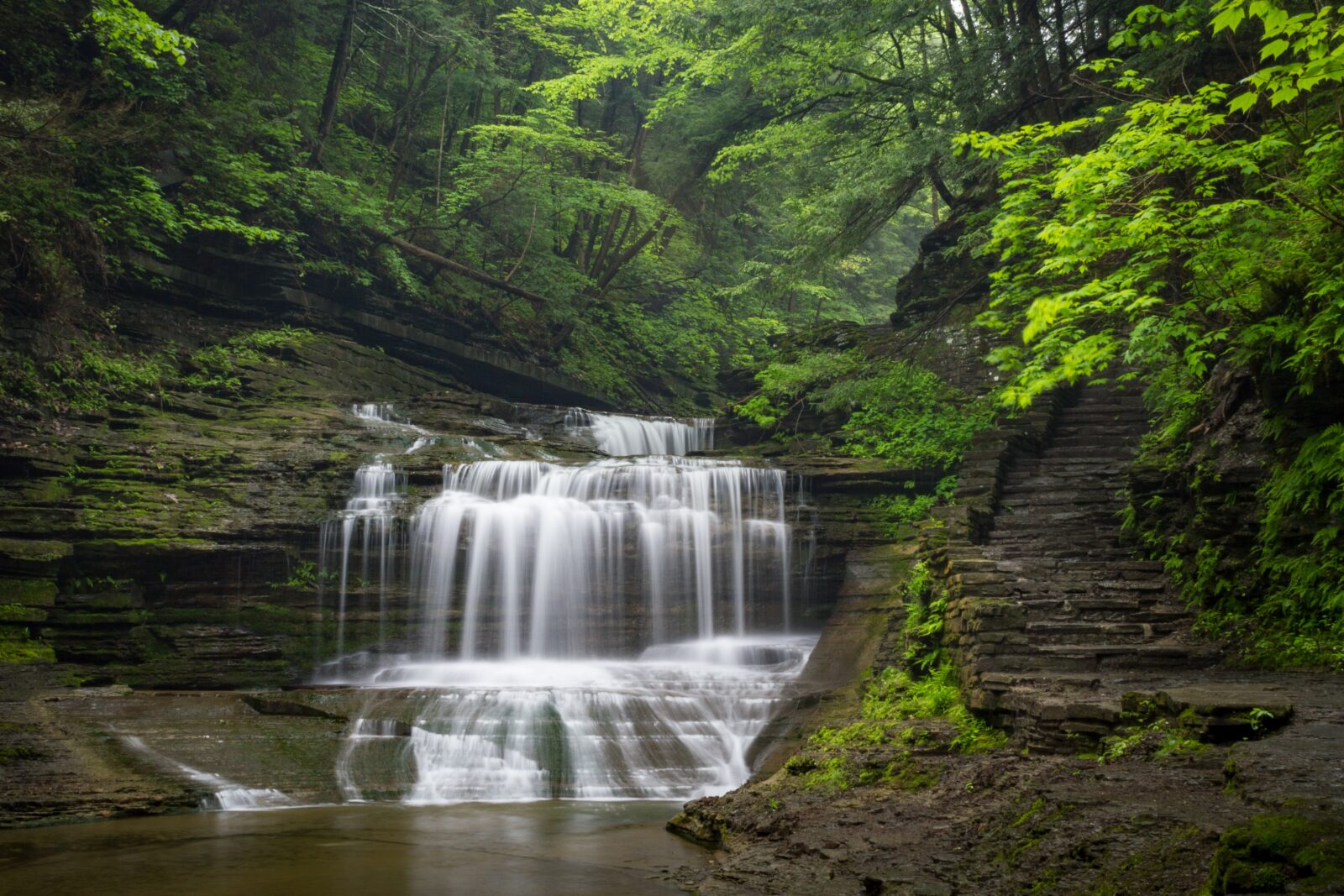 Why You Should Visit Buttermilk Falls State Park This Fall 1 Waterfall cascade through greenery in Buttermilk Falls State Park.