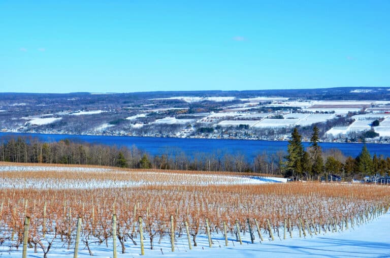 Winter landscape near Hosmer Winery in the Finger Lakes of Upstate NY.