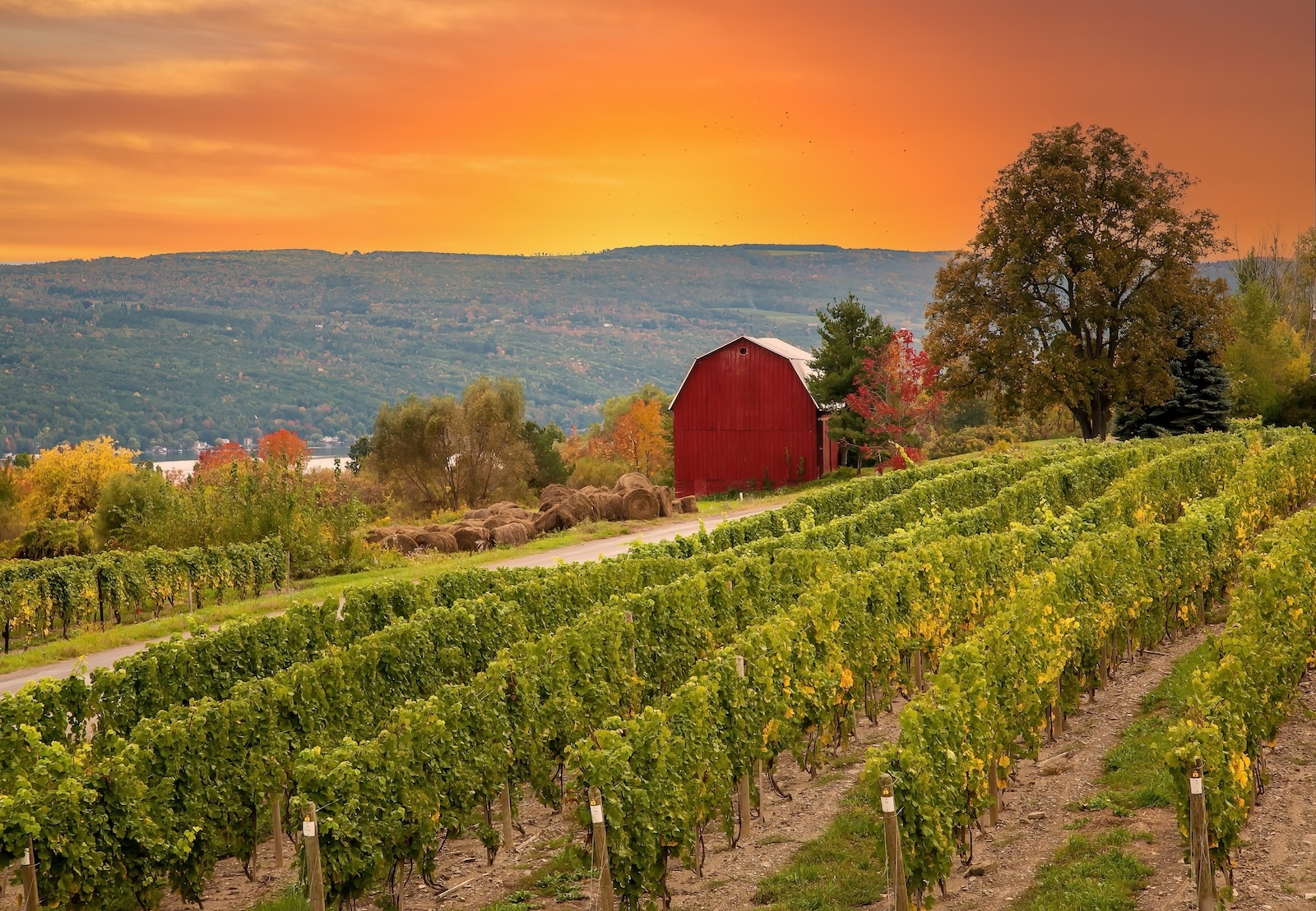 sunset over one of the best Finger Lake Wineries