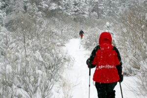 Red Jacket Snowshoe - Dreamstime
